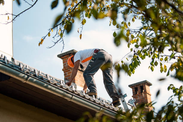 Best Gutter Installation and Roofing  in Vance, AL